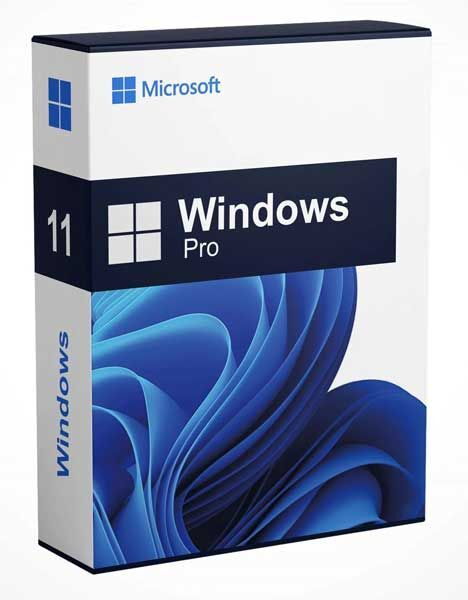 [SWR-001] Windows 11 Pro License and Installation